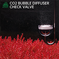 CO2