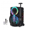 Thunder Bluetooth zvucnik karaoke set sa mikrofonom NDR-P08 crni