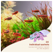 2hr aquarist apt balance-2hr-aquarist-apt-balance-171116-318141-171116.png