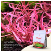 2hr aquarist apt feast - 5l-2hr-aquarist-apt-feast-5l-171121-318175-171121.png