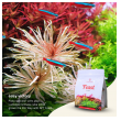 2hr aquarist apt feast - 5l-2hr-aquarist-apt-feast-5l-171121-318177-171121.png