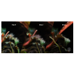 2hr aquarist apt fix - 300 ml-2hr-aquarist-apt-fix-300-ml-171122-318180-171122.png