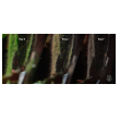 2hr aquarist apt fix - 300 ml-2hr-aquarist-apt-fix-300-ml-171122-318182-171122.png
