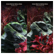 2hr aquarist apt fix - 500 ml-2hr-aquarist-apt-fix-500-ml-171123-318191-171123.png